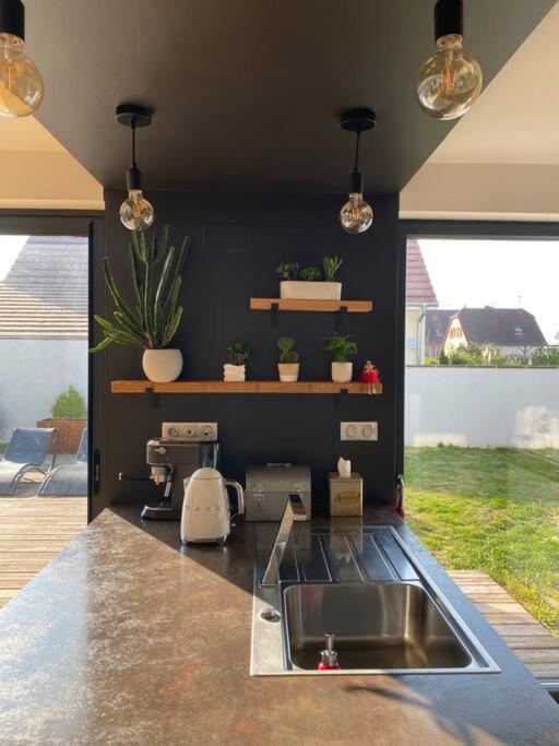 Maison D'Architecte Situee Sur La Route Des Vins Chatenois  Luaran gambar