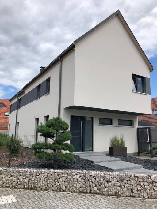 Maison D'Architecte Situee Sur La Route Des Vins Chatenois  Luaran gambar